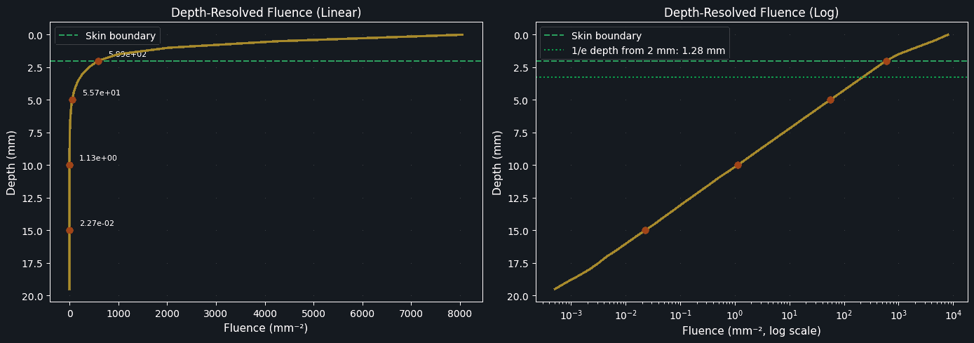 Linear and logarithmic depth-dependent light fluence curves through tissue